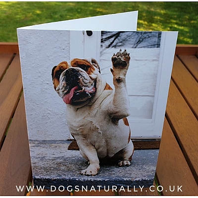 Woof Bulldog Greeting Card